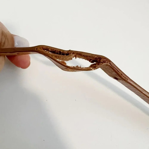 3.1 PHILLIP LIM Braided Leather Belt in Tan - Picture 4 of 4